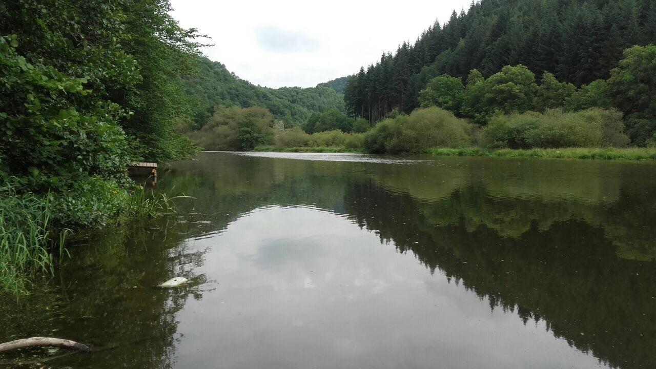 Ferienwohnungen "Am Fuerstenweg" Neuwied Exterior foto