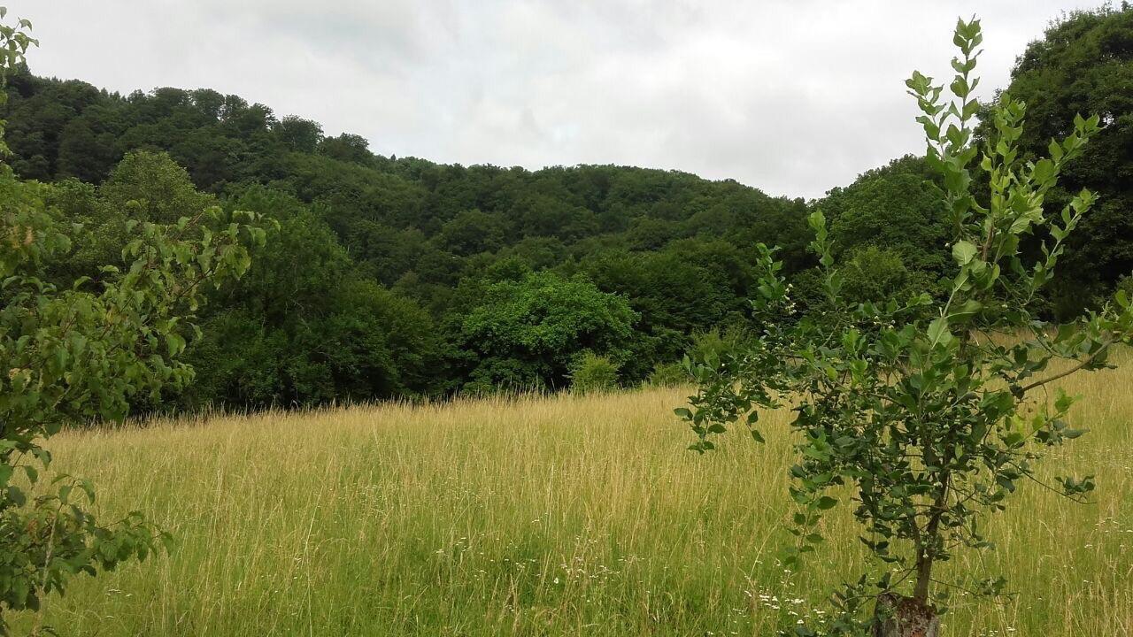 Ferienwohnungen "Am Fuerstenweg" Neuwied Exterior foto
